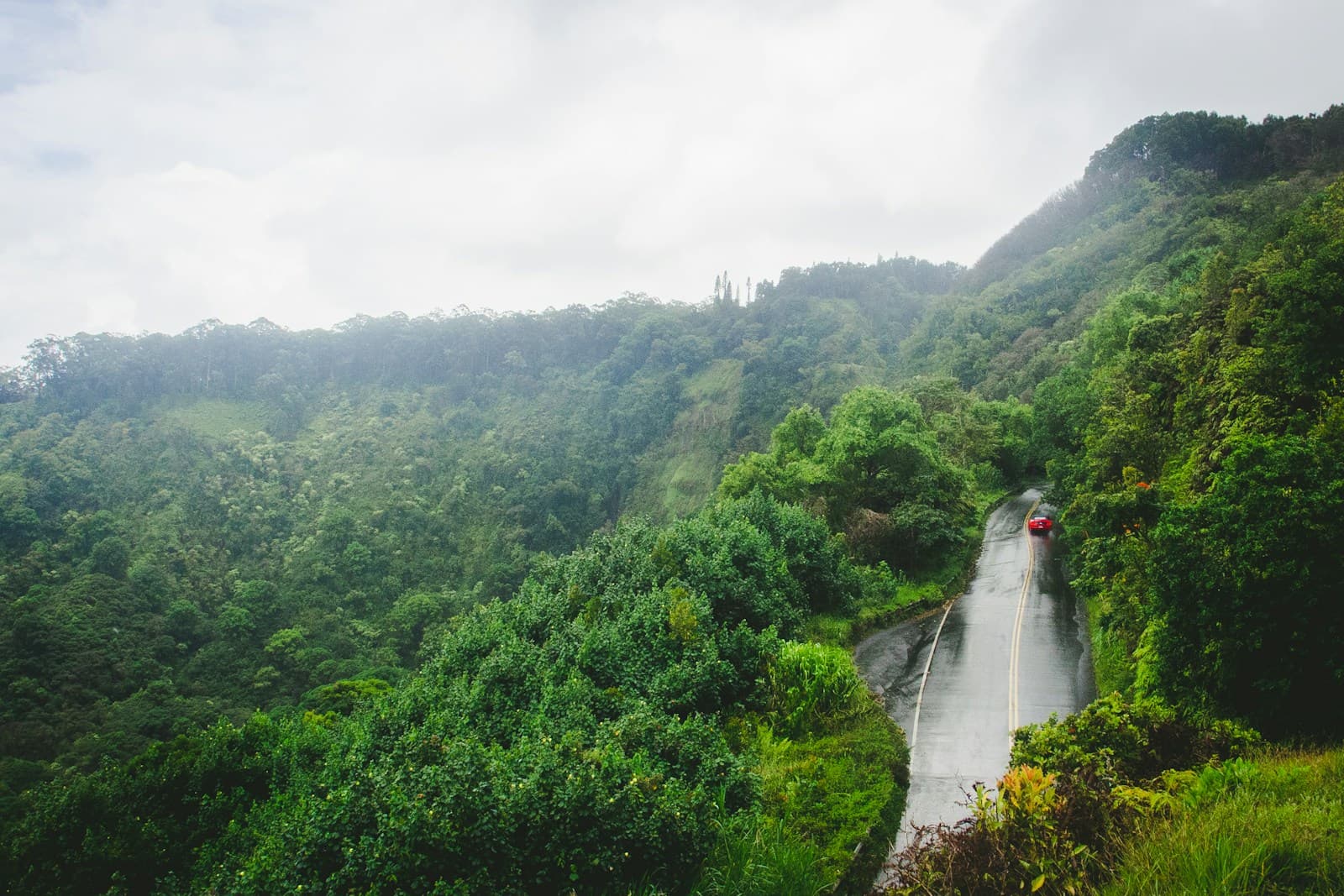 Wet Road to Hana highway curving through green Maui forest with a red car