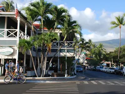 Budget Trips Maui rental car trip type