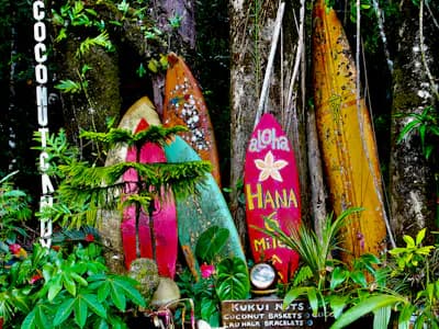 Locals Maui rental car trip type