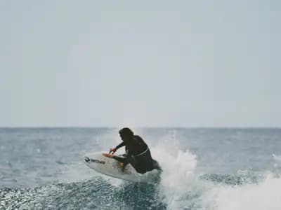 Surf/Windsurf Gear Maui rental car trip type