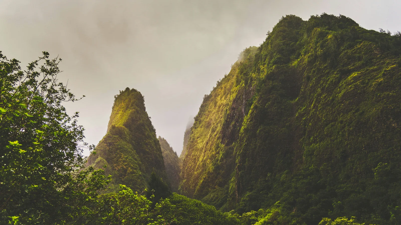 Misty green ridges rising above ʻĪao Valley in Maui