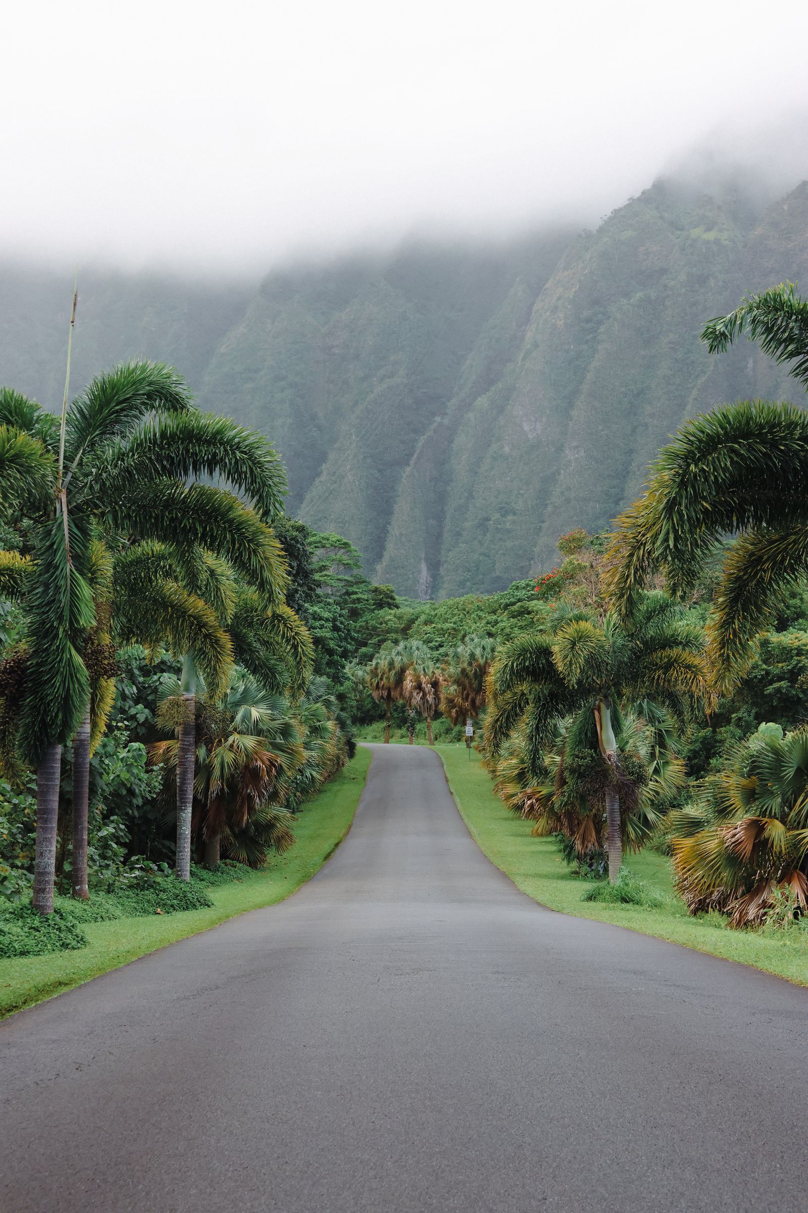 Narrow tropical road leading toward misty green mountains