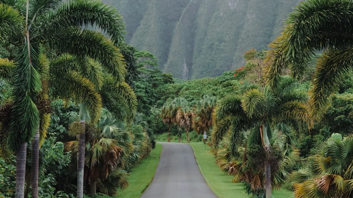 Narrow tropical road leading toward misty green mountains