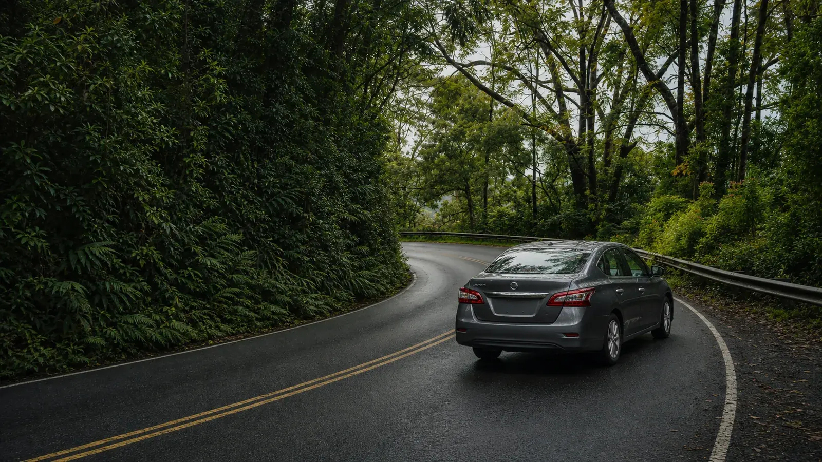 Gray economy sedan on a winding Road to Hana forest road